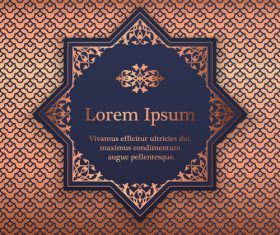 Mandala ornaments with vintage background vector 01