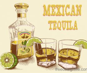 Mexican tequila vintage design vector 01