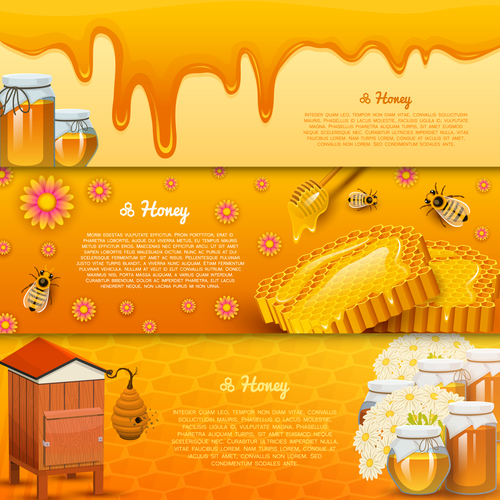 Natural honey banners design vectors 01