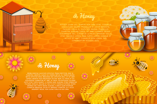 Natural honey banners design vectors 02