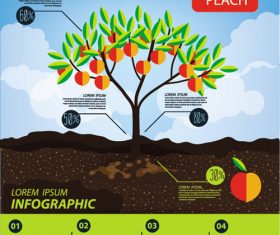 Peach infographic template vector material