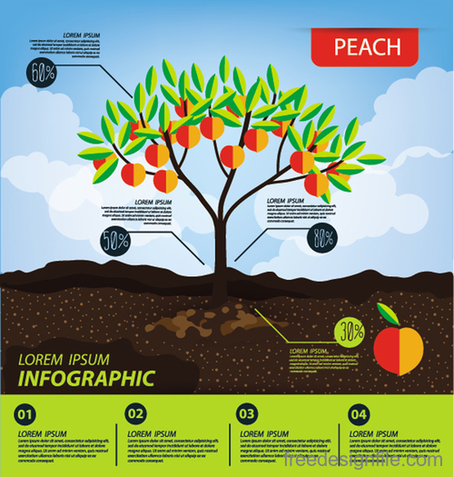 Peach infographic template vector material