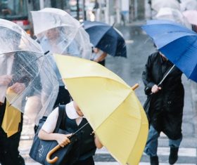 People with umbrellas on the rainy streets Stock Photo 04