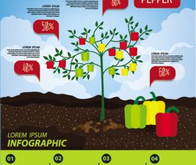 Pepper infographic template vector material