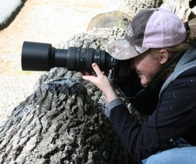 Photographer taking pictures Stock Photo 01