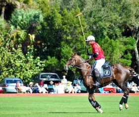 Polo sport Stock Photo 01