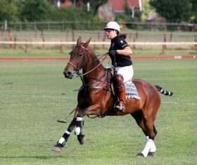 Polo sport Stock Photo 02