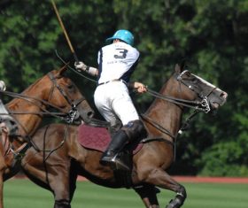 Polo sport Stock Photo 03