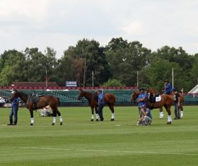 Polo sport Stock Photo 04