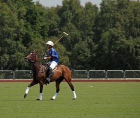 Polo sport Stock Photo 05
