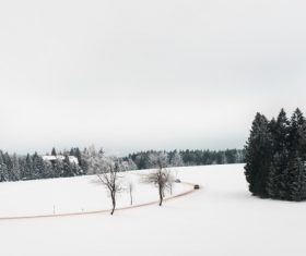 Road and Fields Covered with Snow Stock Photo