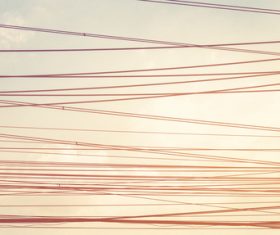 Small fresh background Stock Photo 01