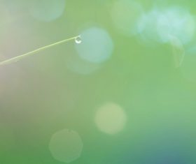 Small fresh background Stock Photo 06