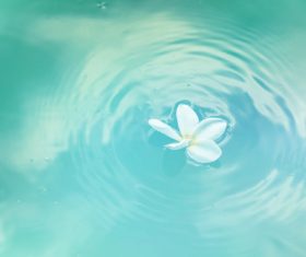 Small fresh background Stock Photo 07