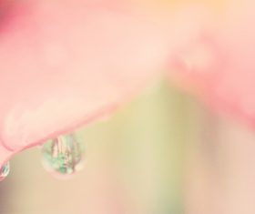 Small fresh background Stock Photo 08