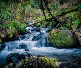 Stream in the silent valley Stock Photo 04