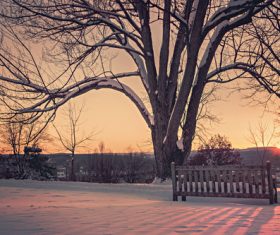 Sunrise in a Snowy Park Stock Photo