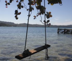 Swing Stock Photo 01