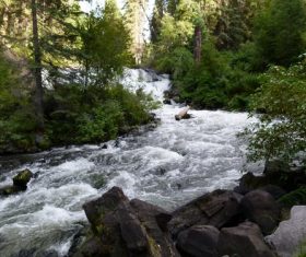Torrential mountain streams Stock Photo 01