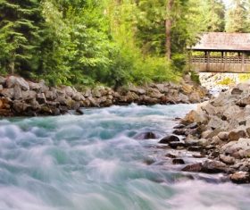 Torrential mountain streams Stock Photo 09