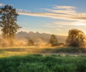 Warm sunshine and natural beauty Stock Photo