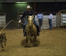 West cowboy Stock Photo 02