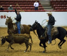 West cowboy Stock Photo 03