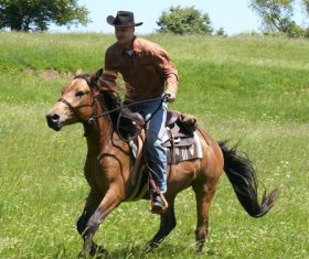 West cowboy Stock Photo 04