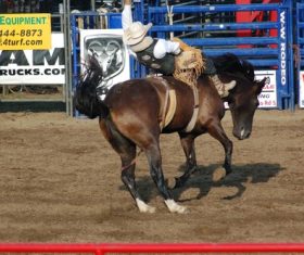 West cowboy Stock Photo 07