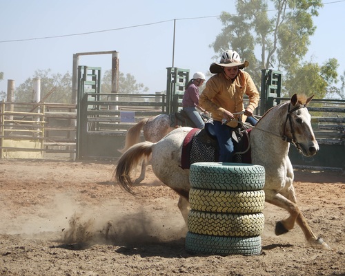 West cowboy Stock Photo 08