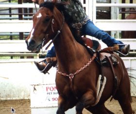 West cowboy Stock Photo 10