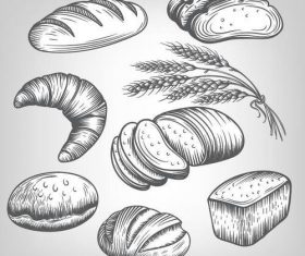 Wheat with bread hand drawn vector