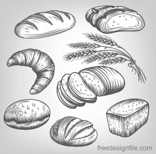 Wheat with bread hand drawn vector