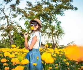 Woman in chrysanthemum field Stock Photo