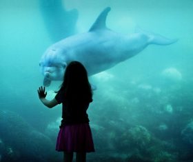 Wonderful aquarium Stock Photo 02