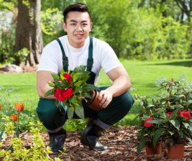 Young man planting flowers Stock Photo