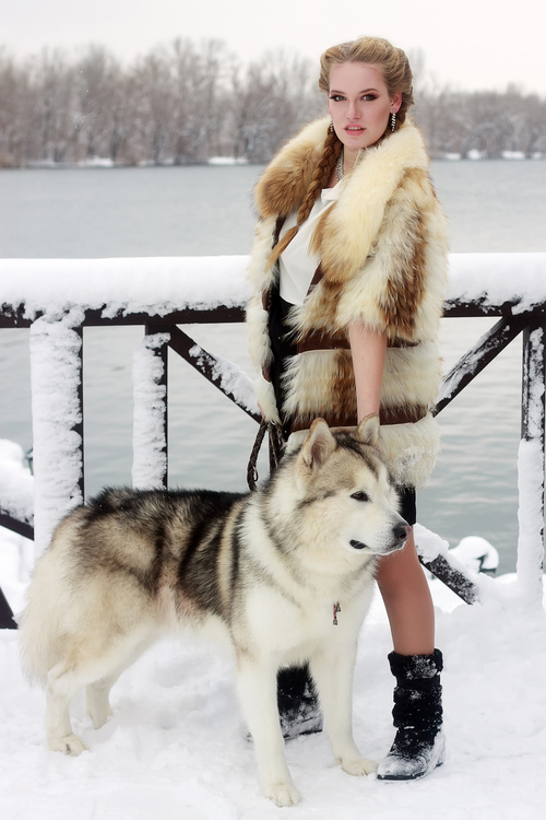 Young woman with wolf dog in snow Stock Photo 02