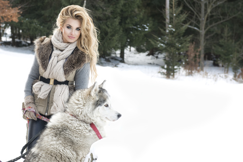 Young woman with wolf dog in snow Stock Photo 03