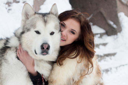 Young woman with wolf dog in snow Stock Photo 04