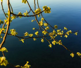 fascinating scenery of lakes Stock Photo 07