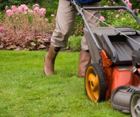 gardener garden landscaping Stock Photo 01