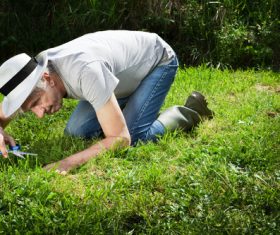 gardener garden landscaping Stock Photo 02