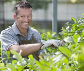 gardener garden landscaping Stock Photo 03