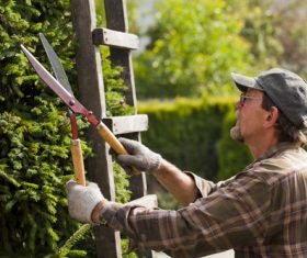gardener garden landscaping Stock Photo 04