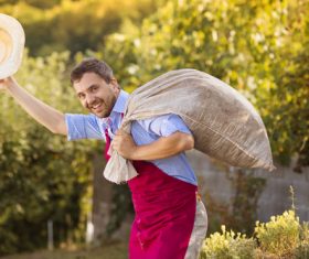 gardener garden landscaping Stock Photo 05