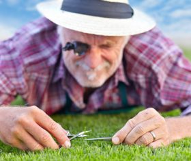 gardener garden landscaping Stock Photo 06