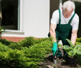 gardener garden landscaping Stock Photo 07