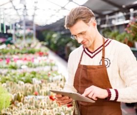 gardener garden landscaping Stock Photo 08