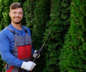 gardener garden landscaping Stock Photo 09