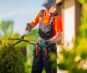 gardener garden landscaping Stock Photo 10